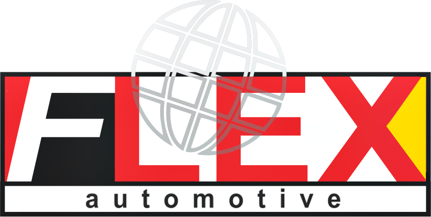LOCOTIPO FLEX.png